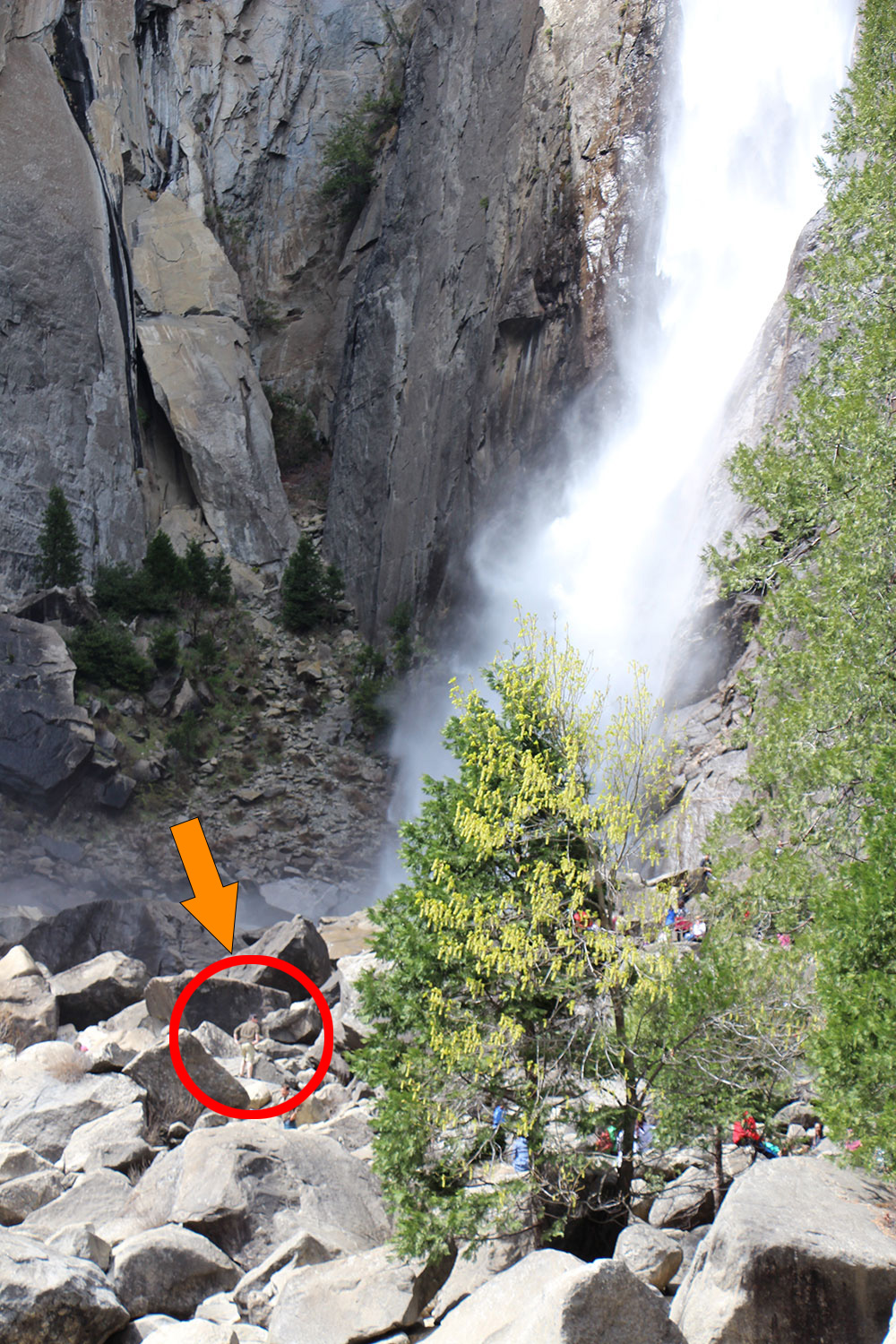 Eric was the brave, lone wolf who climbed the rocks to get a closer look. See the red circle to find Waldo.
